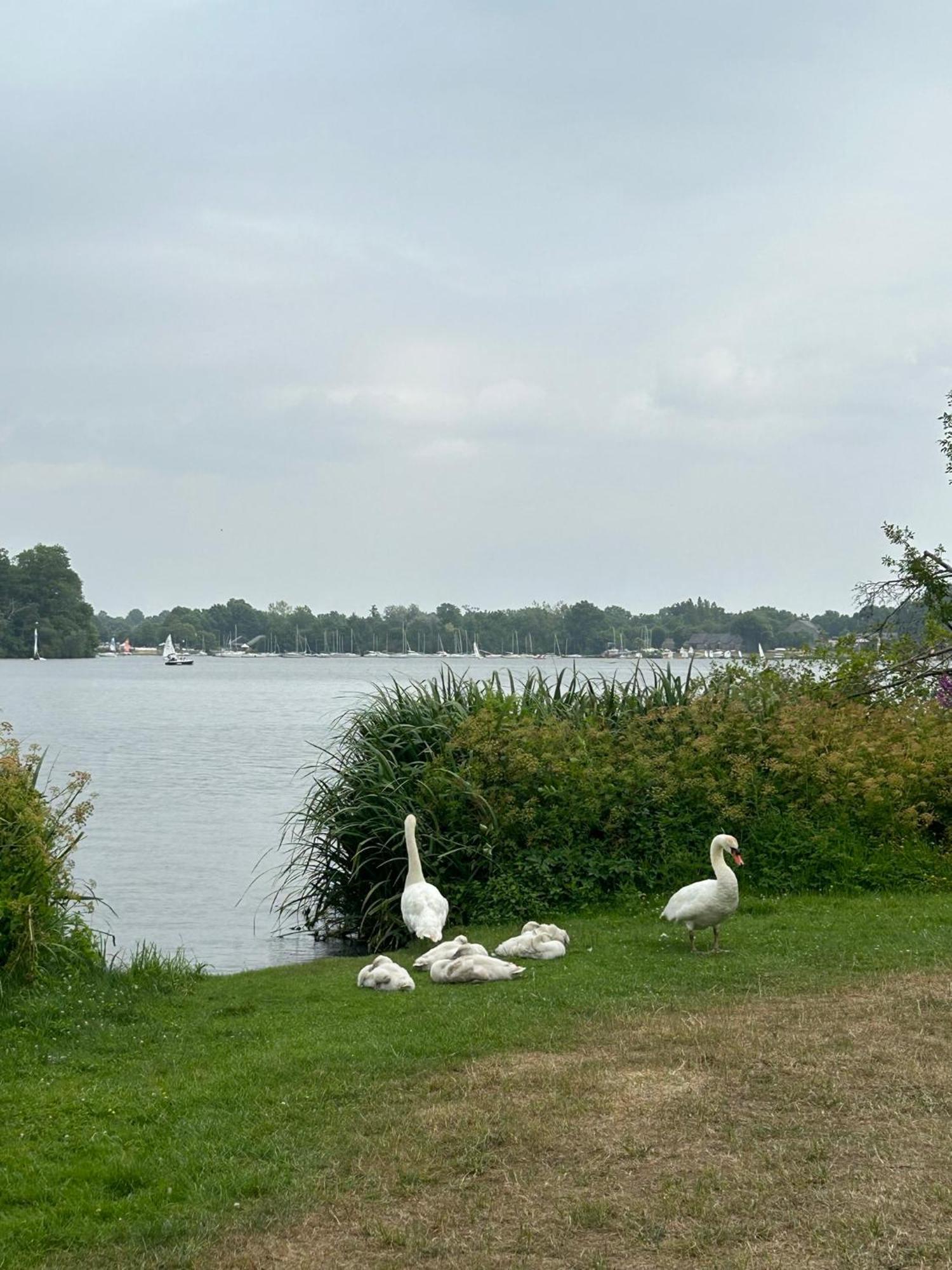 Logement Climatise Erdre Riviere ลา-ชาเปล-ซัวร์-เอเดร ภายนอก รูปภาพ